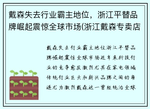 戴森失去行业霸主地位，浙江平替品牌崛起震惊全球市场(浙江戴森专卖店有几个)