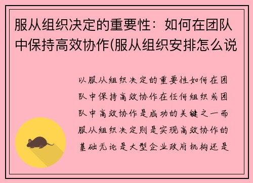 服从组织决定的重要性：如何在团队中保持高效协作(服从组织安排怎么说)